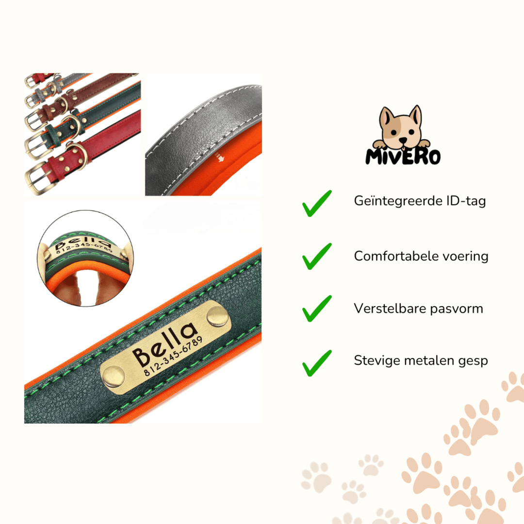Gegraveerde leren hondenhalsband met gepersonaliseerd naamplaatje