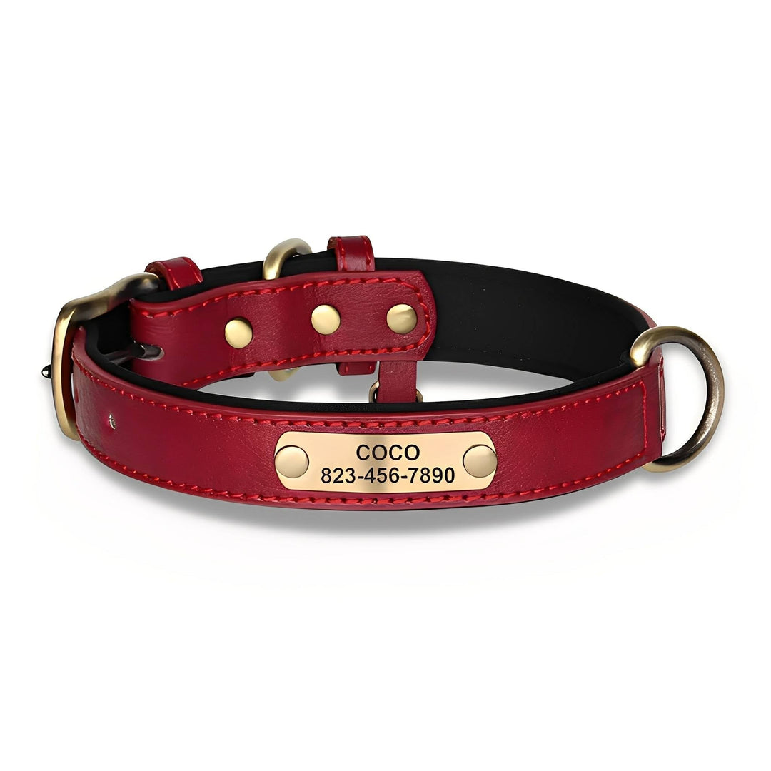 Gegraveerde leren hondenhalsband met gepersonaliseerd naamplaatje