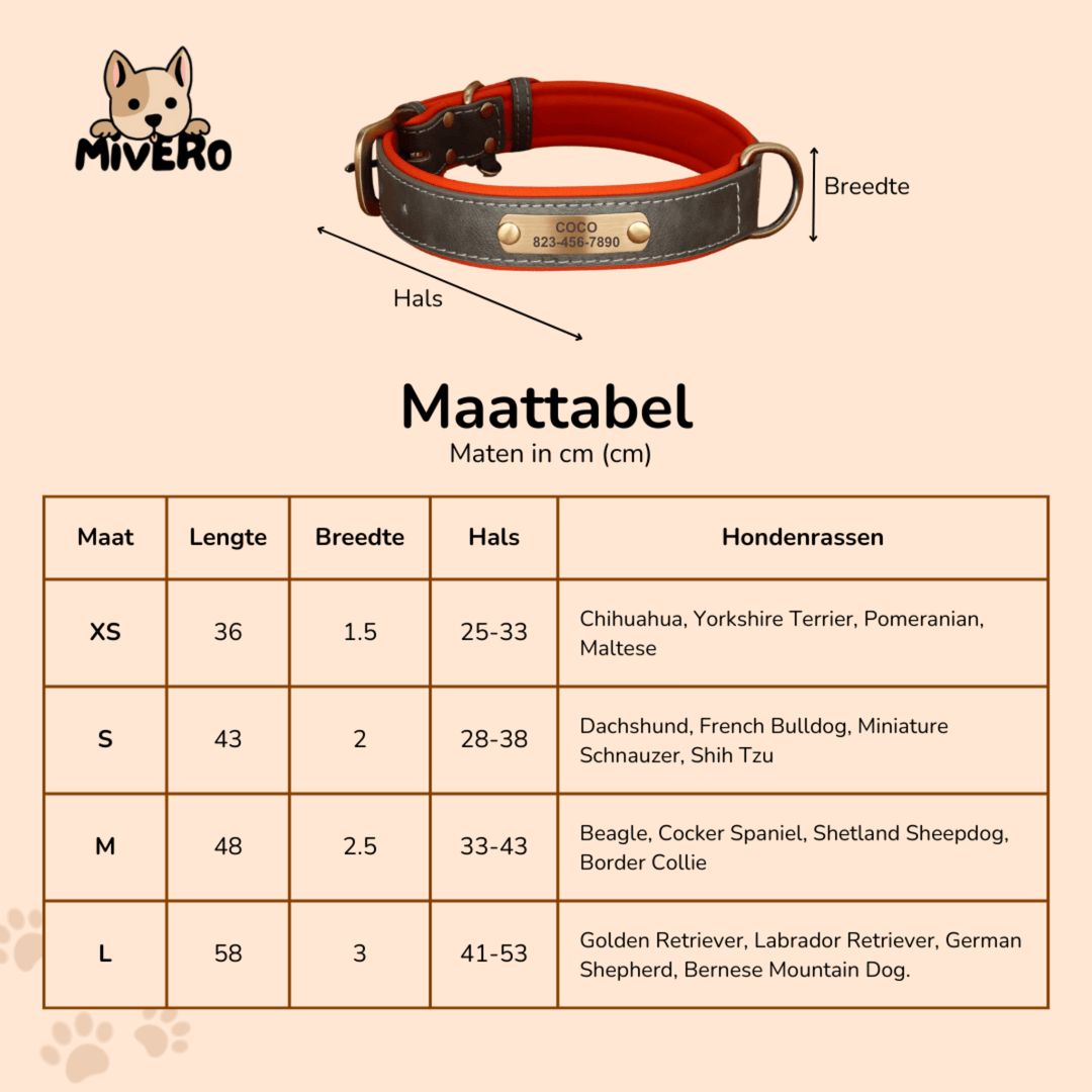 Gegraveerde leren hondenhalsband met gepersonaliseerd naamplaatje