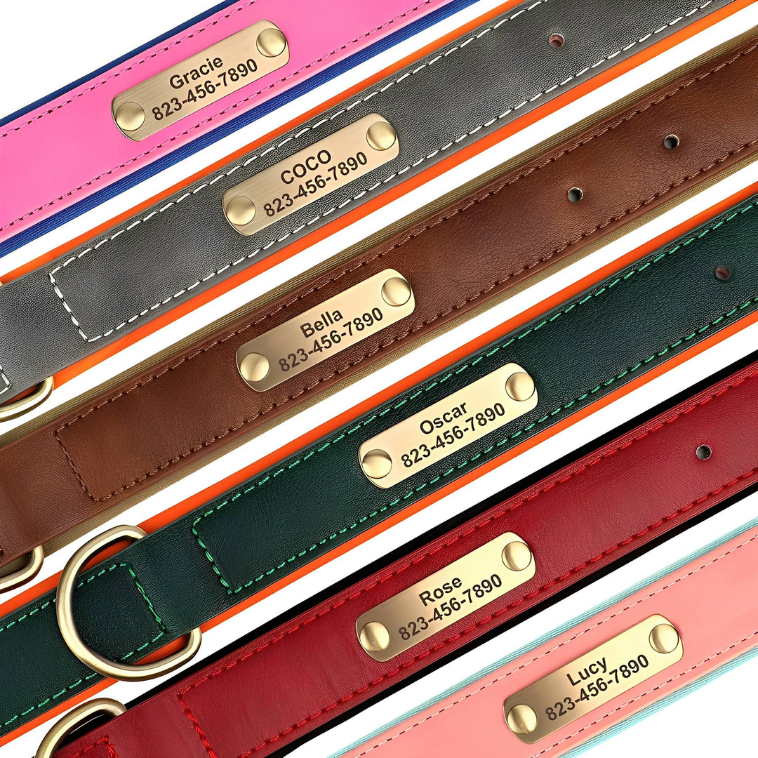 Gegraveerde leren hondenhalsband met gepersonaliseerd naamplaatje