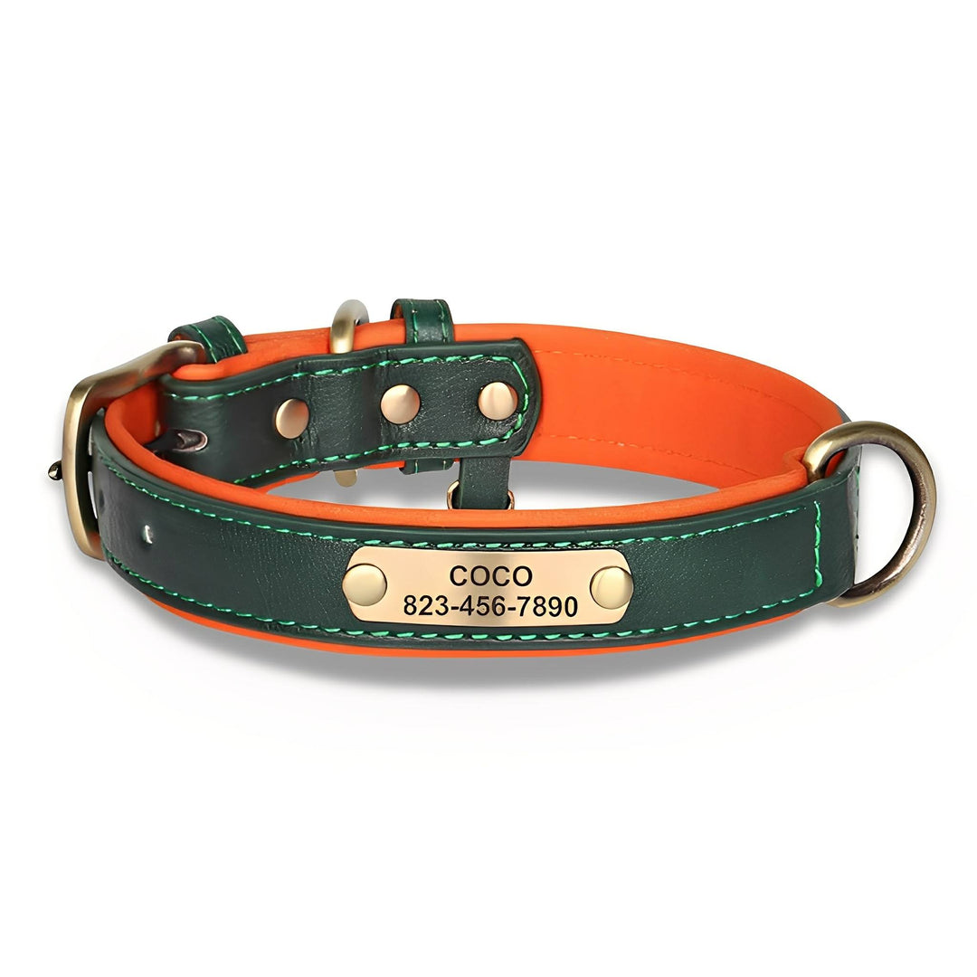 Gegraveerde leren hondenhalsband met gepersonaliseerd naamplaatje