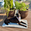 Zelfkoelende mat voor honden en katten