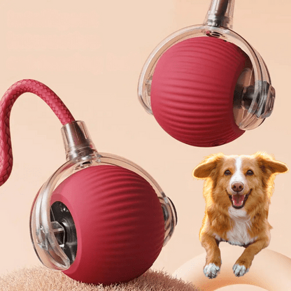 ChaseBall interactief jachtspeelgoed voor honden en katten - LED, USB