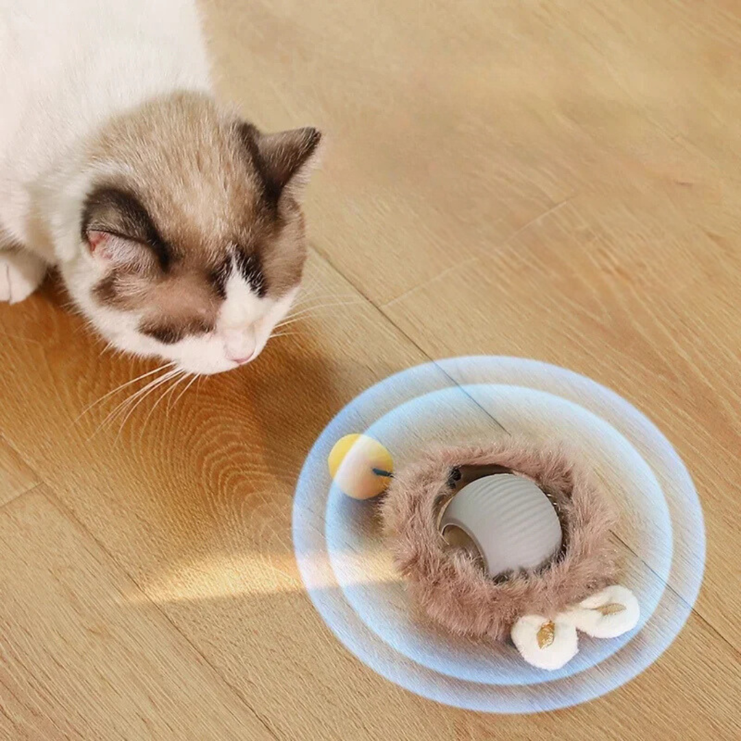 Oplaadbaar kattenspeeltje met rolbeweging