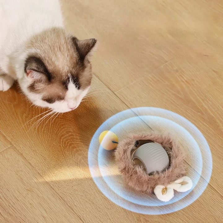 Oplaadbaar kattenspeeltje met rolbeweging