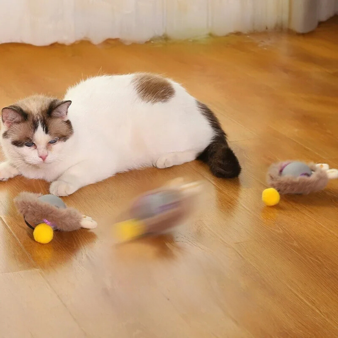 Oplaadbaar kattenspeeltje met rolbeweging