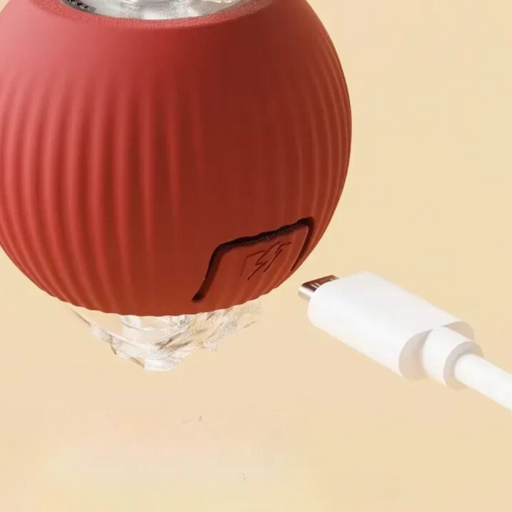 Oplaadbaar kattenspeeltje met rolbeweging