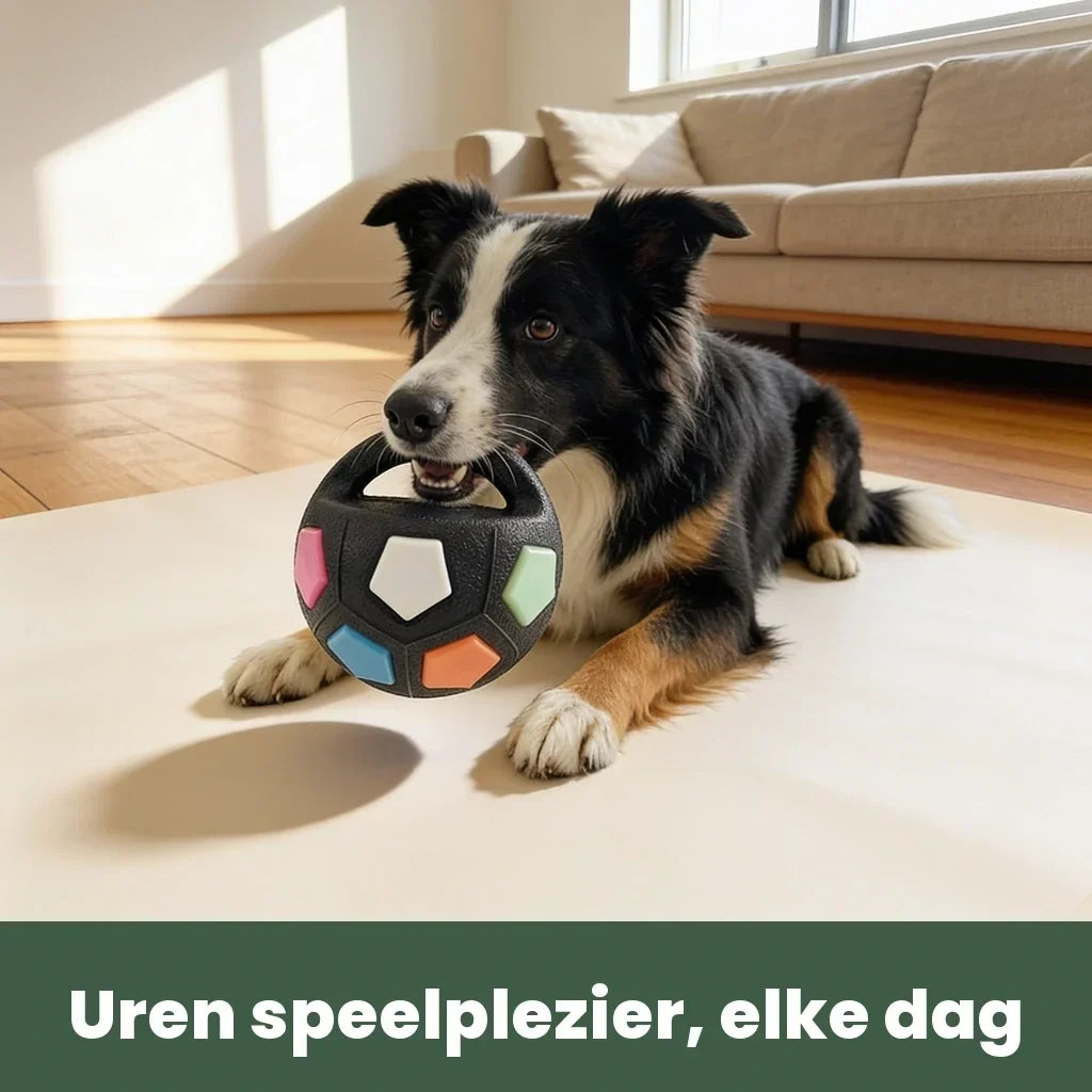 Onverwoestbare hondenbal voor sterke kauwers